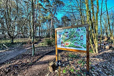 Pod glamping moderni, ammessi animali domesti...