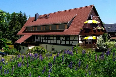 Ferienwohnung Landhaus Sorgenfrei
