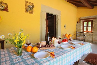 Agriturismo ad Apecchio con piscina