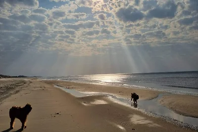 4 Personen Ferienhaus auf einem Ferienpark...