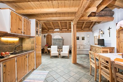 Apartment in a typical baita in the Dolomites...