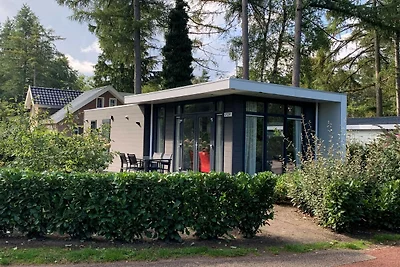 Modernes Chalet im Achterhoek
