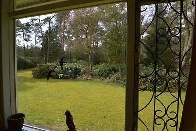 Casa vacanze a Huijbergen con giardino