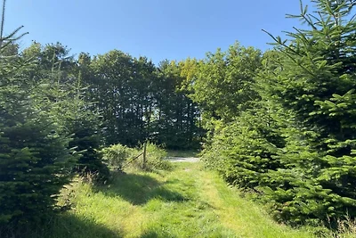 6 Personen Ferienhaus in Hadsund-By Traum