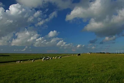 Friesisches Landleben in Meeresnähe