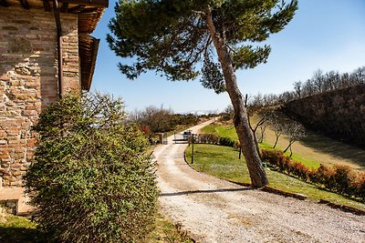 Appartamento in agriturismo con piscina e tan...