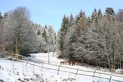 Appartamento nella Foresta Nera con giardino