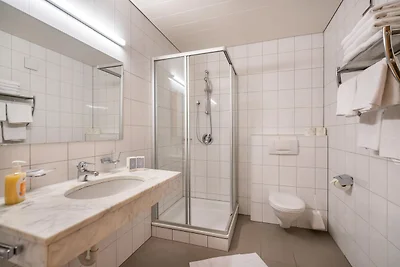 Gruppen-Wohnung in Neustift im Stubaital mit...