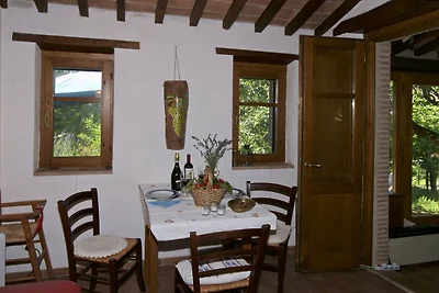 Ferienhaus in Seggiano mit Wald