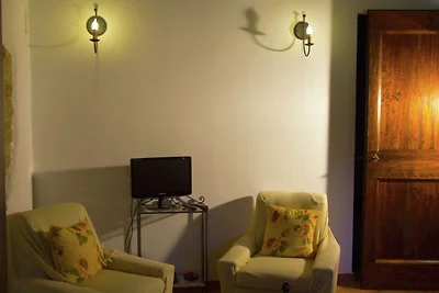Modernes Ferienhaus mit Garten