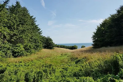 4 Personen Ferienhaus in Ærøskøbing-By Traum