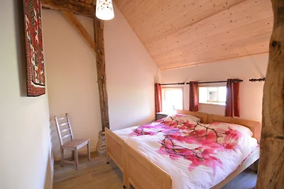 Gemütliches Bauernhaus in Geesteren mit...
