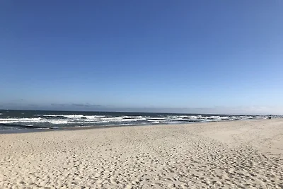 Bernsteinbeobachter||