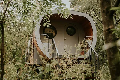 Gemütliches Baumhaus-Retreat in Overijssel