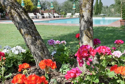 Ferienhaus mit Pool in Foiano della Chiana