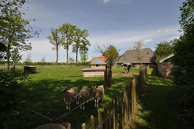 Stilvolles Bauernhaus mit Garten und Sauna