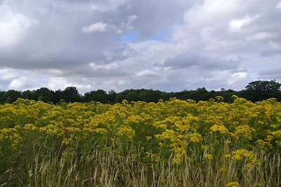 Meeresgluck in Hejlsminde -- By Traum...