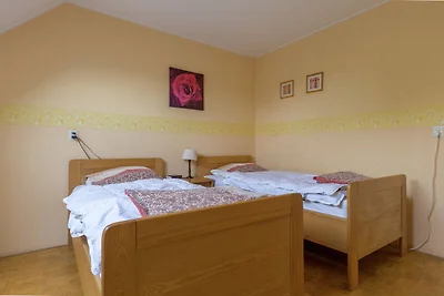 Gezellig vakantiehuis met tuin