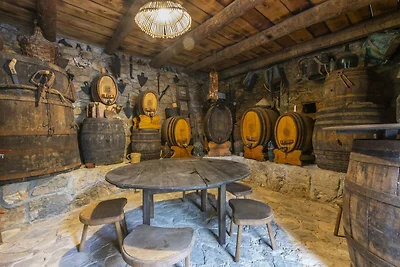 Rustical Resort Kokorići with Shared Outdoor ...