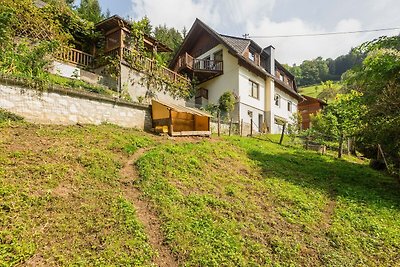 Schöne Wohnung in Hintergumitsch mit Terrasse