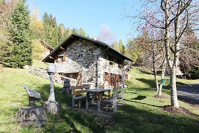 Wooden chalet in Pieve Tesino with garden