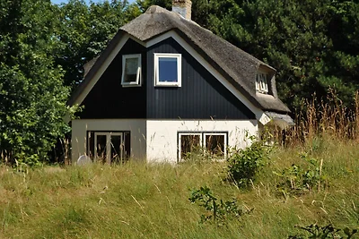 Luxusvilla an den Dünen