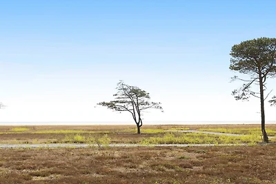 14 persone case ad Læsø