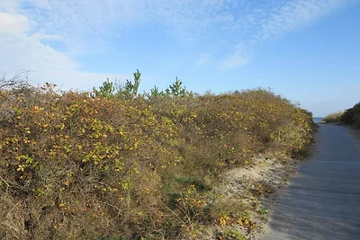 6 Personen Ferienhaus in Ålbæk-By Traum