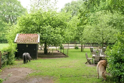Agriturismo con sauna e vasca idromassaggio