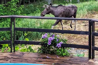 4 Sterne Ferienhaus in INGARÖ