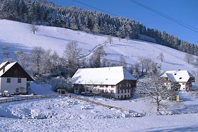 Casa vacanze a Hofstetten con terrazza