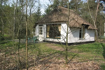 Bungalow ben arredato, circondato dalla...
