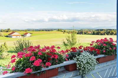 Hübsches Bauernhaus im Allgäu mit Alpenblick