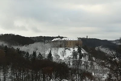 Geräumige Wohnung im Harz nahe Skigebiet