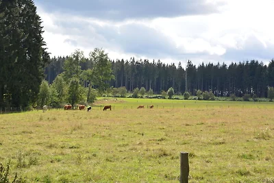 Geräumiges Ferienhaus mit Garten