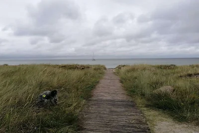 8 Personen Ferienhaus in Stege-By Traum