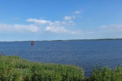 Splendida casa vacanze vicino al Lauwersmeer