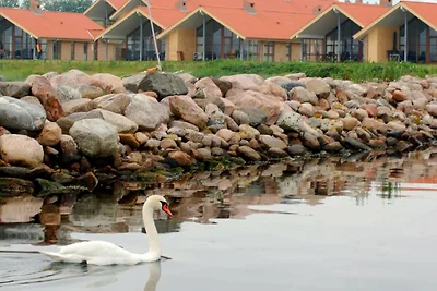 6 Personen Ferienhaus in Egernsund-By Traum