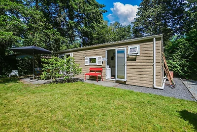 Modernes Chalet in Voorthuizen mit Zugang zum...
