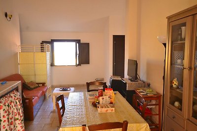 Nice holiday apartment at 200 meters from the...