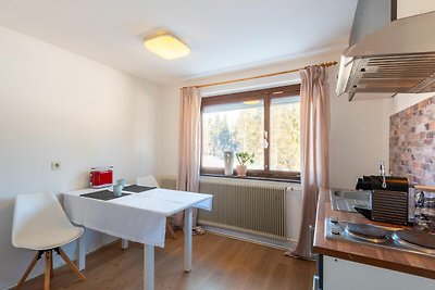 Gezellig appartement in Sibratsgfäll met tuin