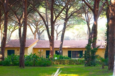 Gemütliche Villa auf Sardinien mit Pool in...