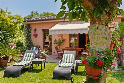 Malerische Villa in Lido di Venezia mit...