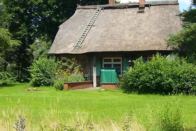 Ferienhaus in Essel mit Schwimmbecken