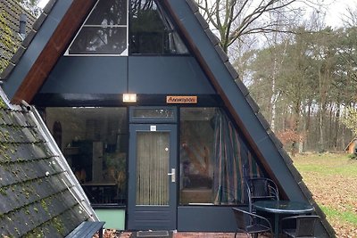 Ruhiges Ferienhaus in Nord-Limburg im Wald