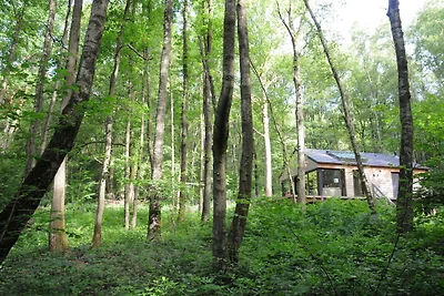 Chalet moderno situato nel bosco