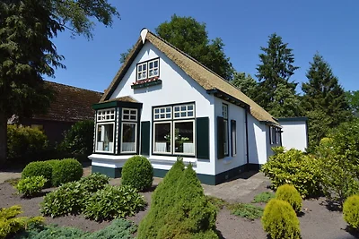 Ferienhaus in der Nähe des Drents-Friese Wold