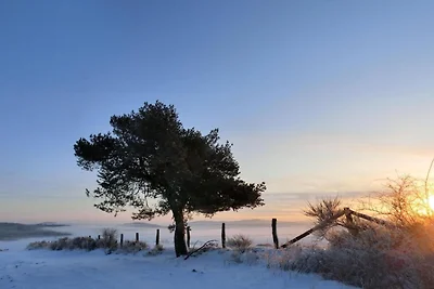 Neue top renovierte Ferienwohnung in Medebach