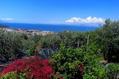 Sontuosa villa a Sorrento con giardino
