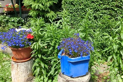 Casa vacanze a Cattenstedt Harz con giardino